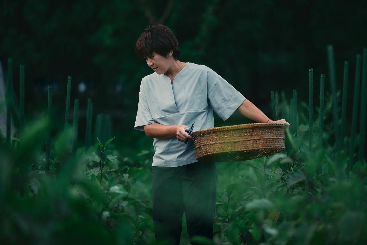 亚玛斯伍小屋 白马村 外观 照片
