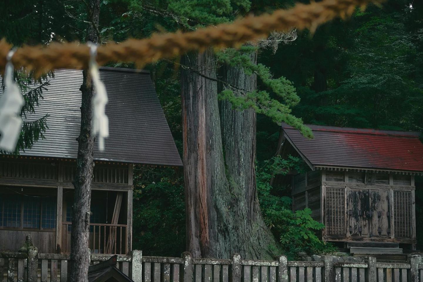 亚玛斯伍小屋 白马村 外观 照片