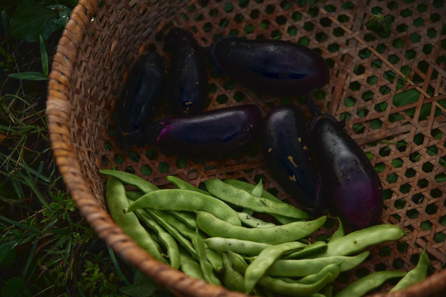 亚玛斯伍小屋 白马村 外观 照片